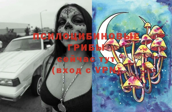 мяу мяу мука Беломорск