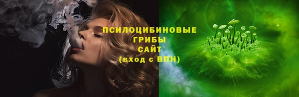 Альфа ПВП Белокуриха