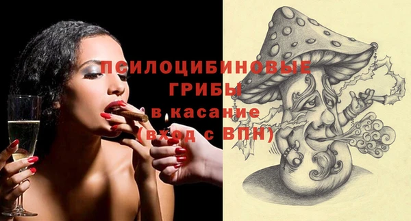 Альфа ПВП Белокуриха