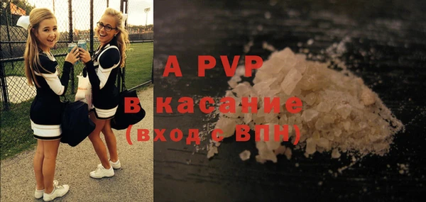 Альфа ПВП Белокуриха