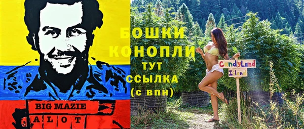 Альфа ПВП Белокуриха
