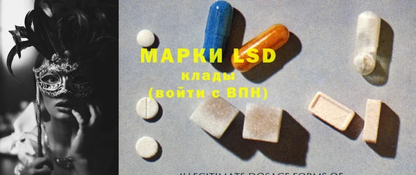 ПСИЛОЦИБИНОВЫЕ ГРИБЫ Осташков