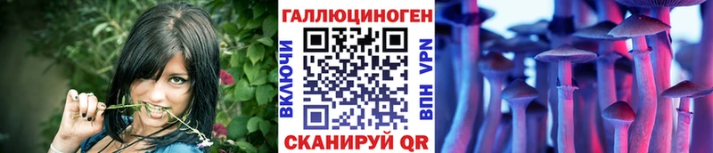 Галлюциногенные грибы Magic Shrooms  Кувандык 