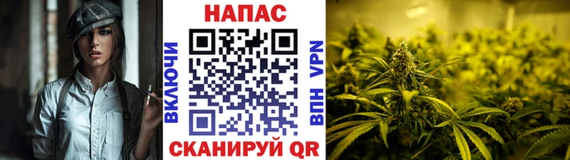 Каннабис конопля  kraken как зайти  Кувандык 